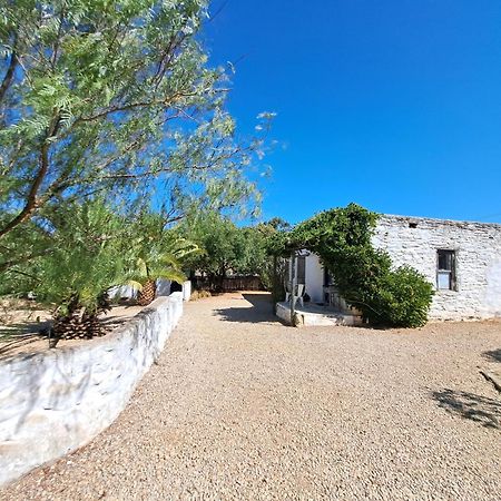 Olive grove cottage Koringberg Esterno foto
