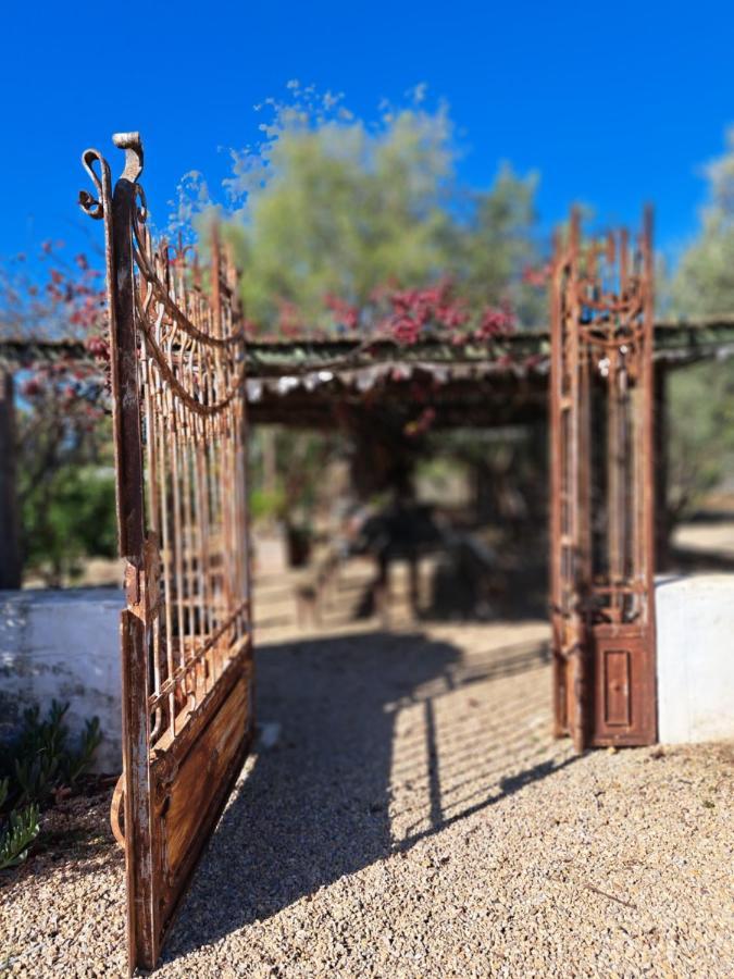 Olive grove cottage Koringberg Esterno foto