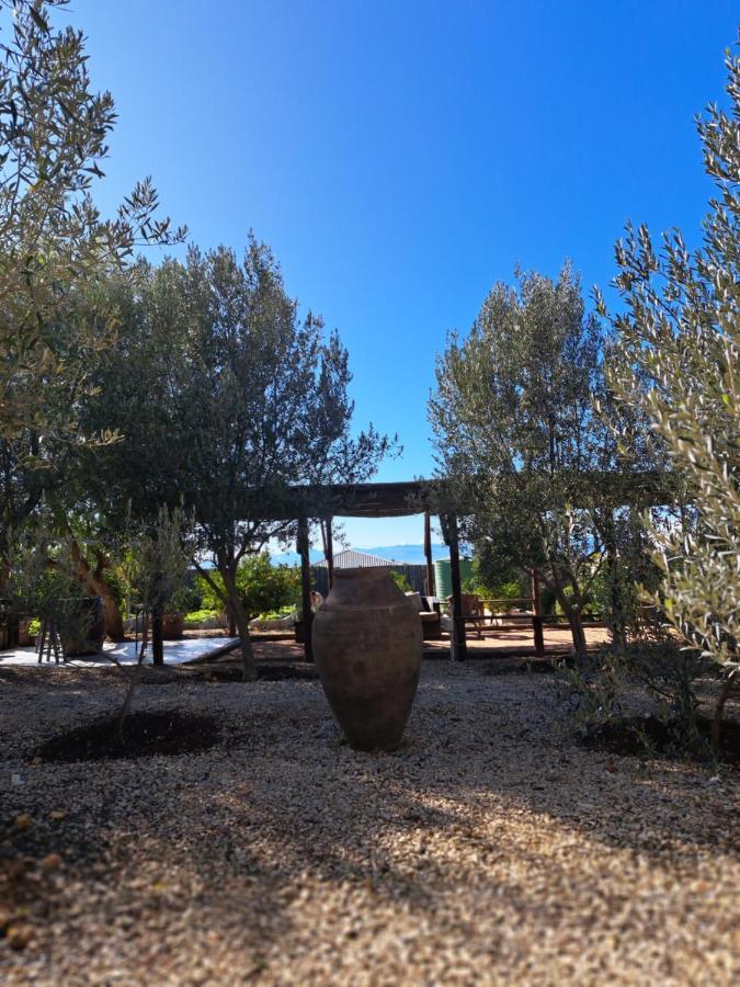 Olive grove cottage Koringberg Esterno foto