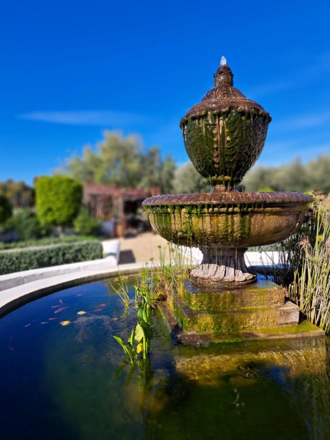 Olive grove cottage Koringberg Esterno foto