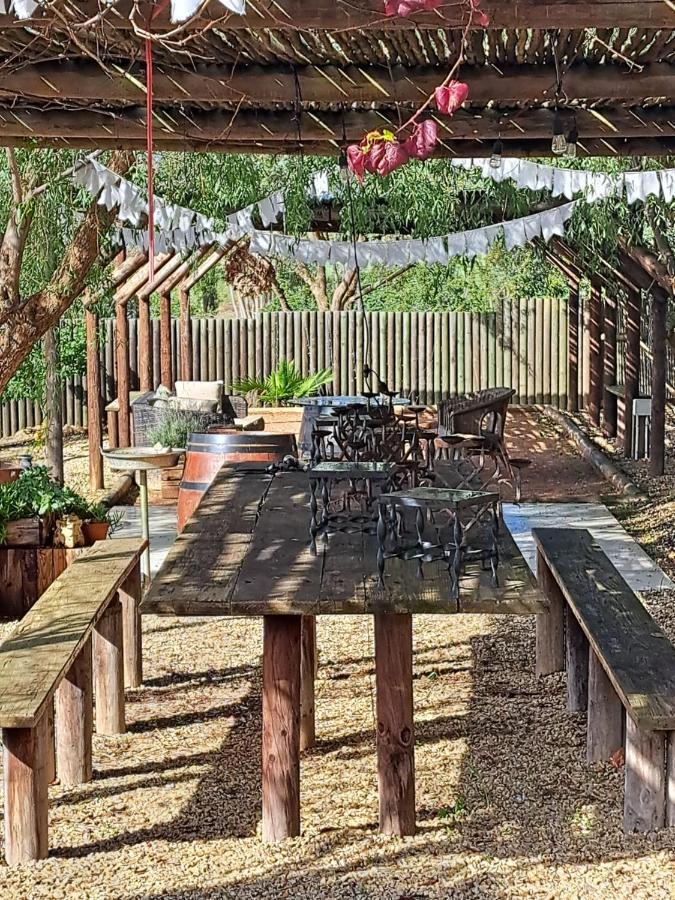 Olive grove cottage Koringberg Esterno foto